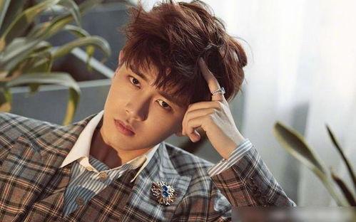 吃瓜娱乐任嘉伦戚薇,吃瓜娱乐圈新热点